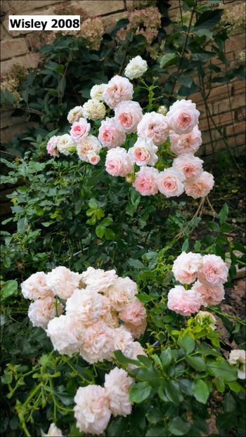 3 (6) - Helena Nezbedová