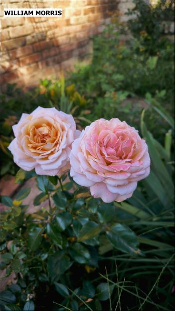 3 (13) - Helena Nezbedová