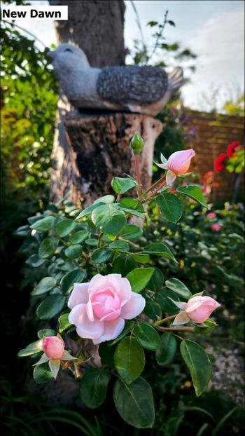 3.b (2) - Helena Nezbedová