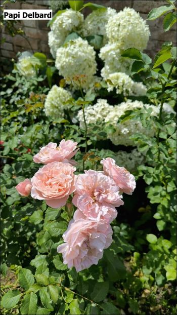 4 (6) - Helena Nezbedová