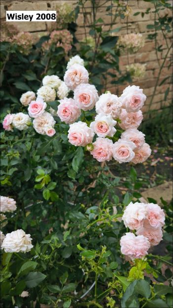 4 (7) - Helena Nezbedová