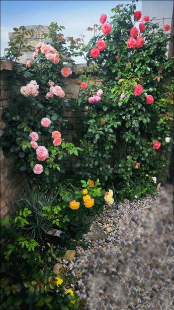 4 (19) - Helena Nezbedová