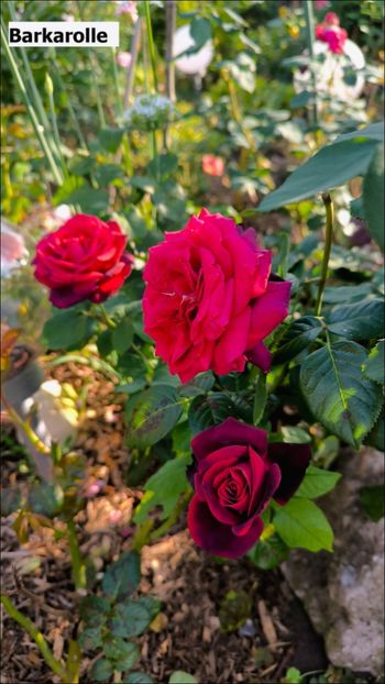 4.a (4) - Helena Nezbedová