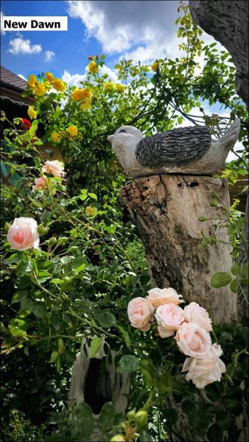 4.a - Helena Nezbedová