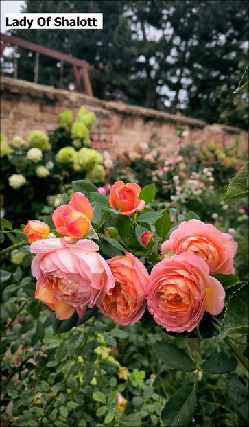 4.c - Helena Nezbedová