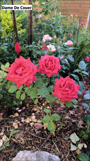 7a - Helena Nezbedová