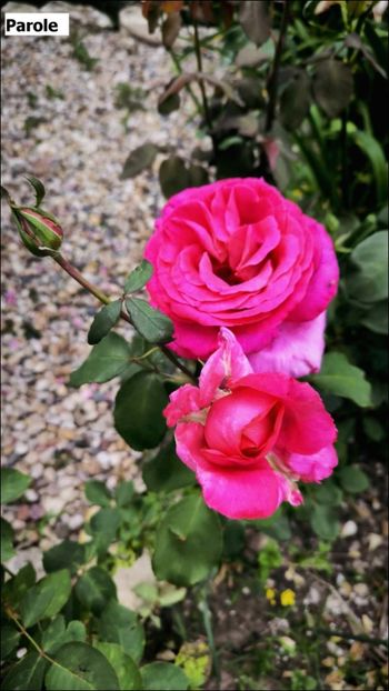 8 (2) - Helena Nezbedová