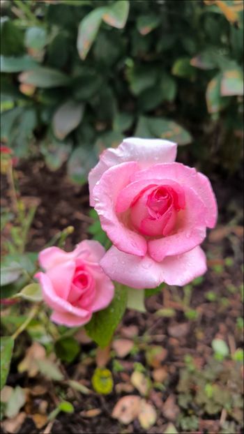 8 (2) - Helena Nezbedová