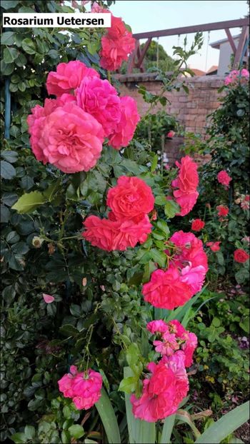 8 (4) - Helena Nezbedová