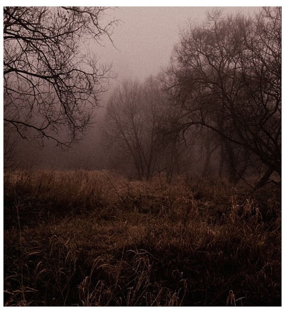 ♡ ɴᴏᴠᴇᴍʙᴇʀ 19 » „There is freedom within, there is freedom without, try to catch a deluge - Tomnatic și nostalgic