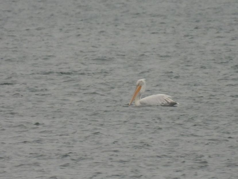  - Vacanta la mare