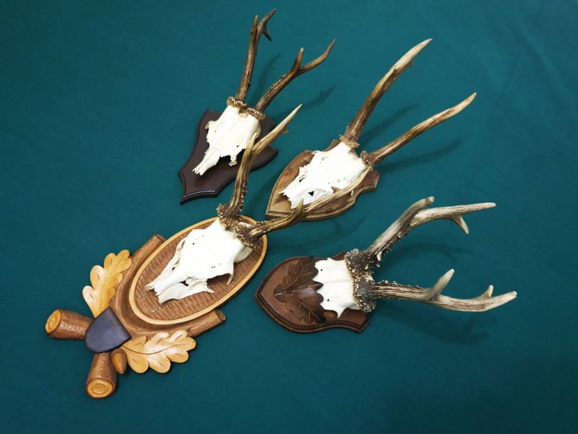 S_42 - Seturi de trofee pentru decoruri rustice în vile și pensiuni