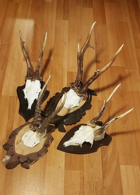 Set_44 - Seturi de trofee pentru decoruri rustice în vile și pensiuni