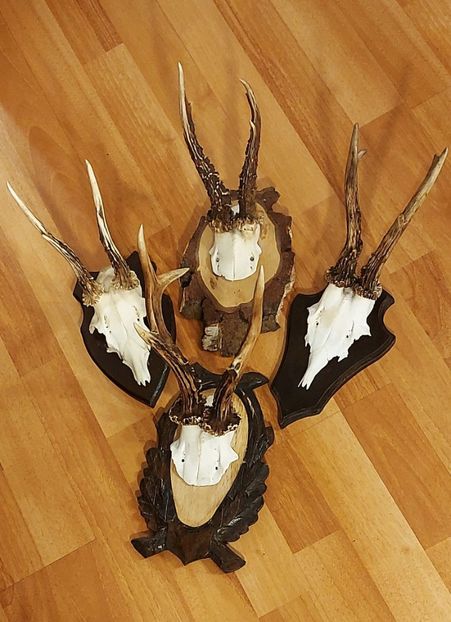 Set_44 - Seturi de trofee pentru decoruri rustice în vile și pensiuni