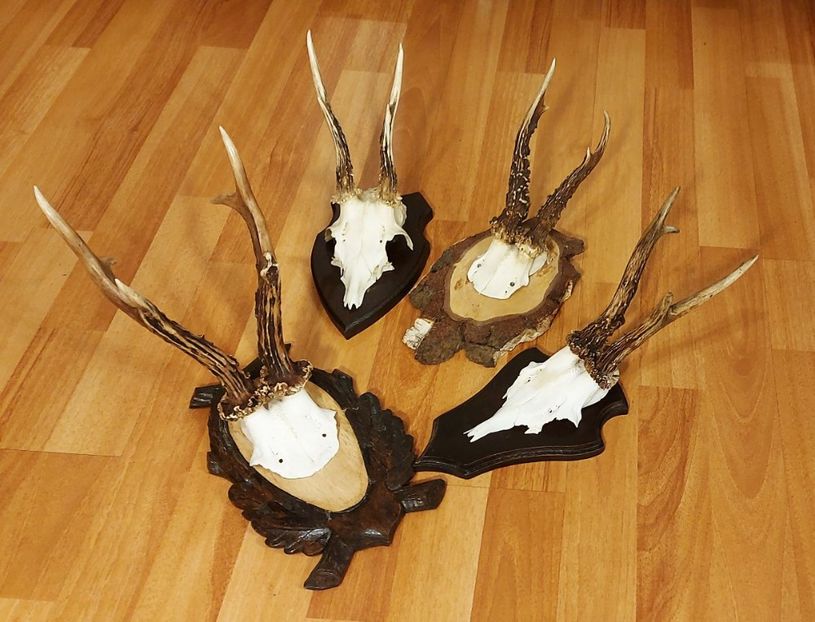 Set_44 - Seturi de trofee pentru decoruri rustice în vile și pensiuni