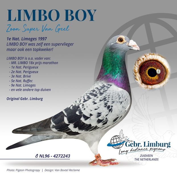  - NEW GOOR - Original Ludo Haesen nepot GOOR 16 nat Barcelona Jos Thone