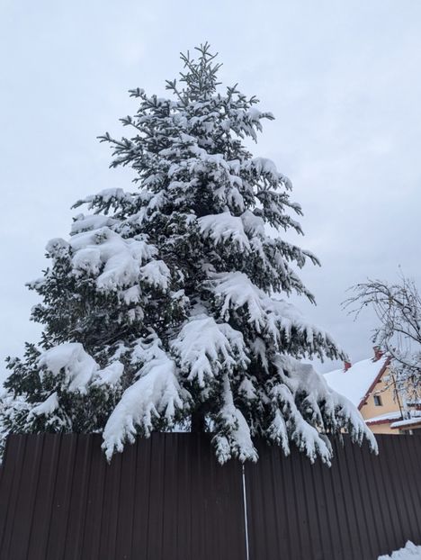  - Universul Natura si lumea sufletului meu