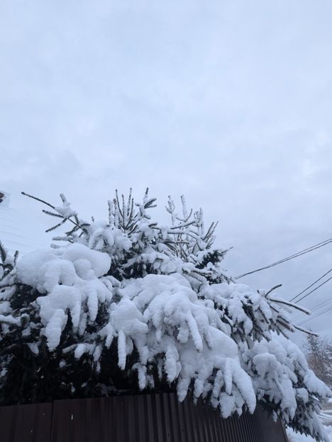  - Universul Natura si lumea sufletului meu