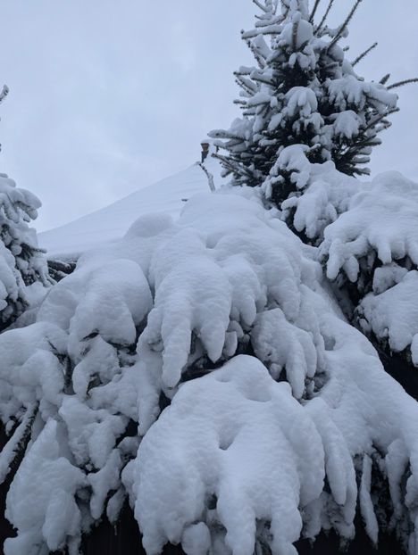  - Universul Natura si lumea sufletului meu