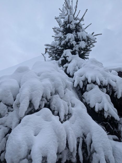  - Universul Natura si lumea sufletului meu