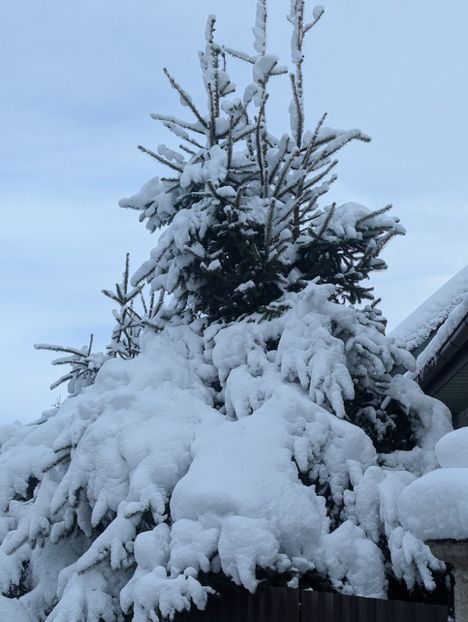  - Universul Natura si lumea sufletului meu