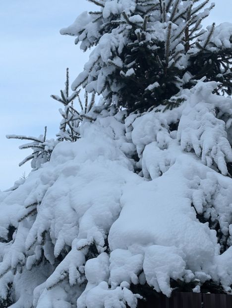  - Universul Natura si lumea sufletului meu