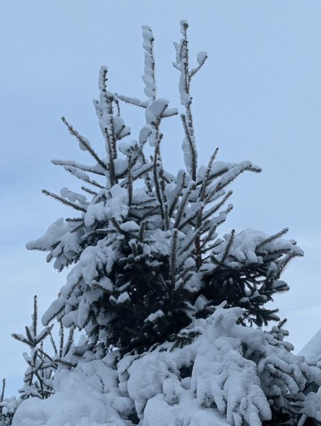  - Universul Natura si lumea sufletului meu