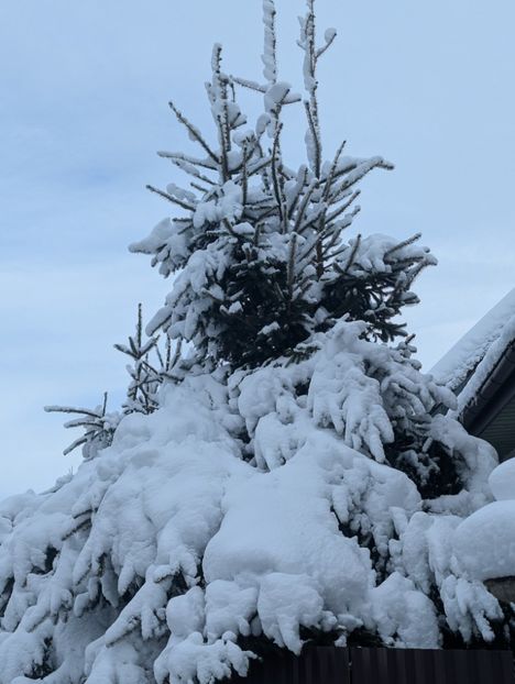  - Universul Natura si lumea sufletului meu