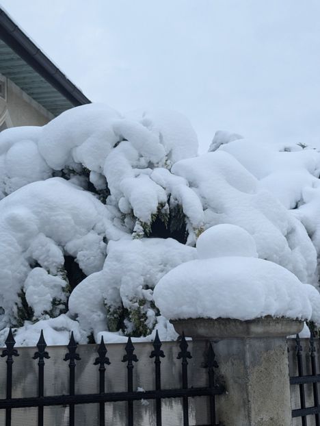  - Universul Natura si lumea sufletului meu