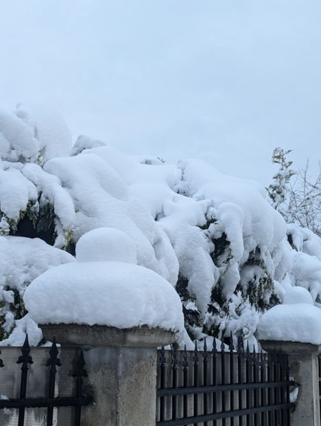  - Universul Natura si lumea sufletului meu