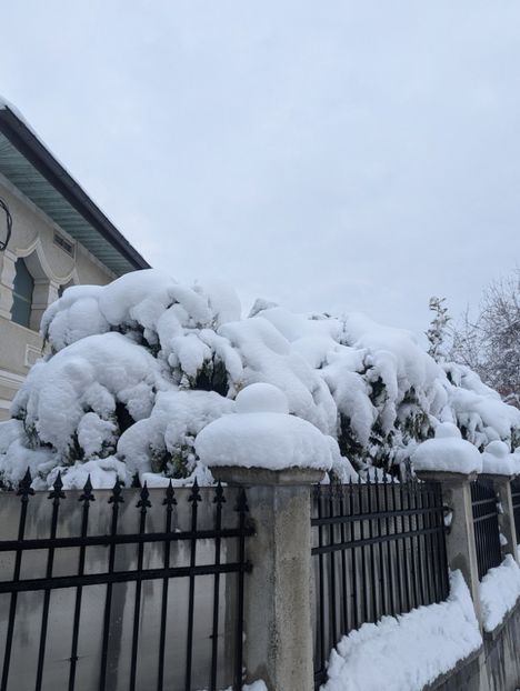  - Universul Natura si lumea sufletului meu