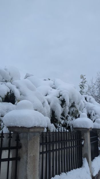  - Universul Natura si lumea sufletului meu