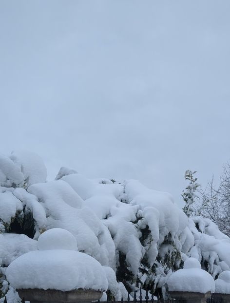  - Universul Natura si lumea sufletului meu