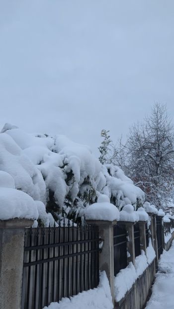  - Universul Natura si lumea sufletului meu