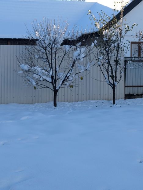  - Universul Natura si lumea sufletului meu