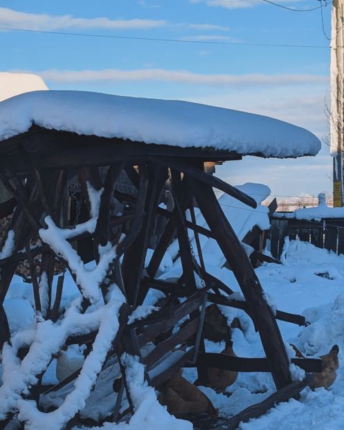  - Universul Natura si lumea sufletului meu