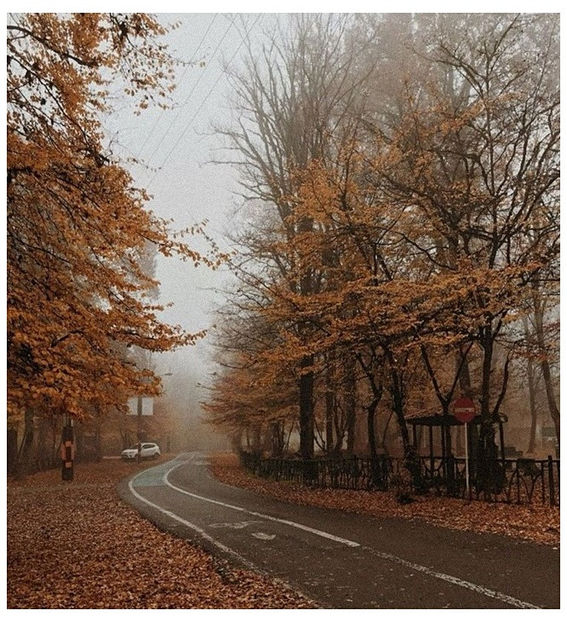♡ ɴᴏᴠᴇᴍʙᴇʀ 21 » „Skies are dark, it s time for rain.. Final call, you board the train, - Tomnatic și nostalgic