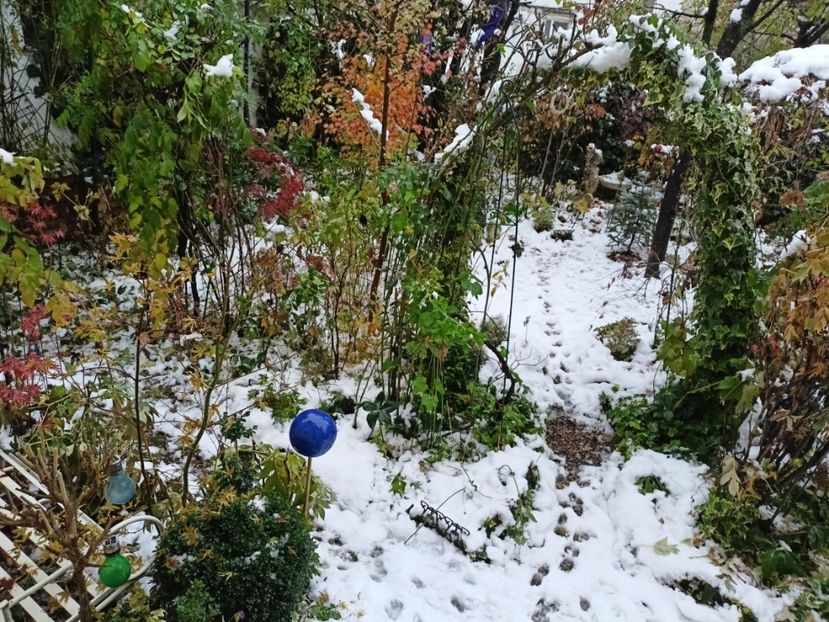 22.11.2024 - Grădina 2024 continuare 5