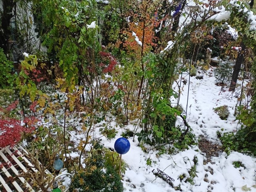  - Grădina 2024 continuare 5