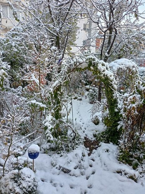  - Grădina 2024 continuare 5