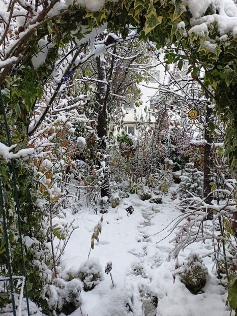  - Grădina 2024 continuare 5