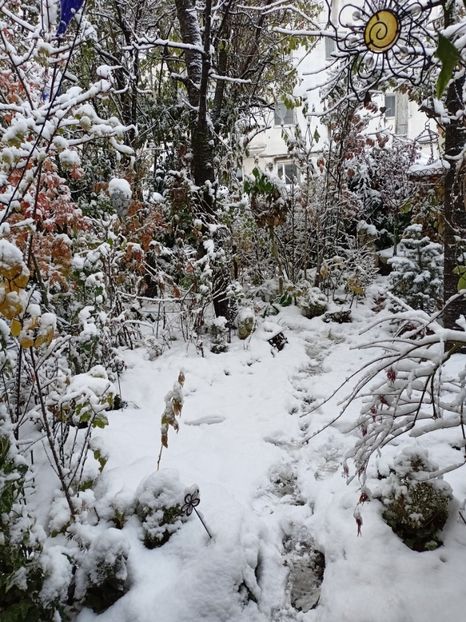  - Grădina 2024 continuare 5