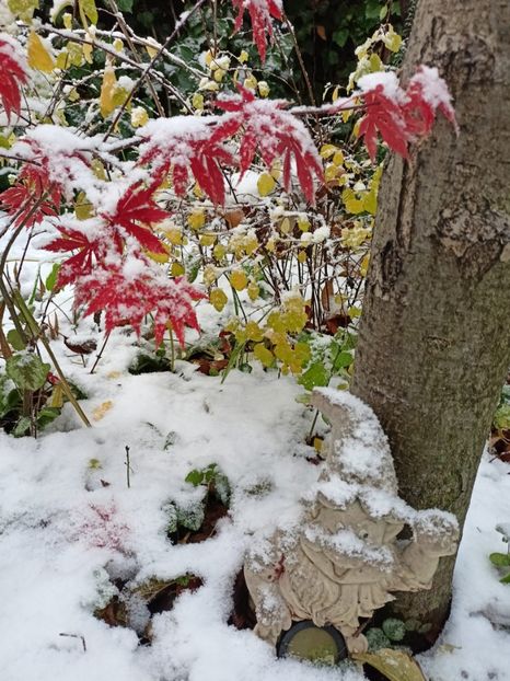 Trompenburg - Grădina 2024 continuare 5