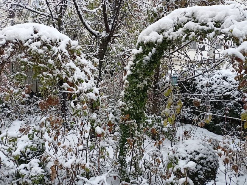  - Grădina 2024 continuare 5