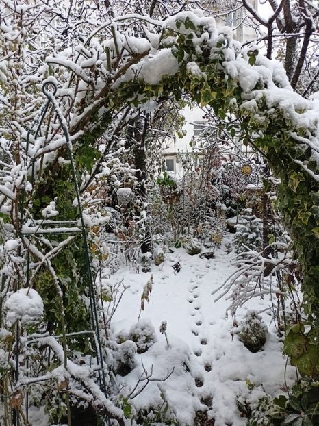  - Grădina 2024 continuare 5