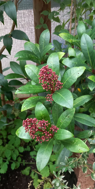  - 2024 - 03 - Toamna