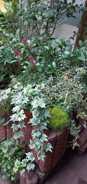  - 2024 - 03 - Toamna