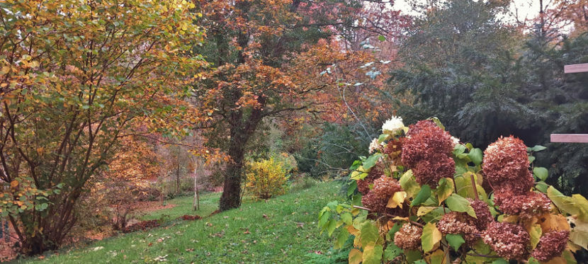  - 2024 - 03 - Toamna