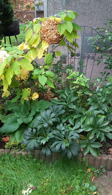  - 2024 - 03 - Toamna