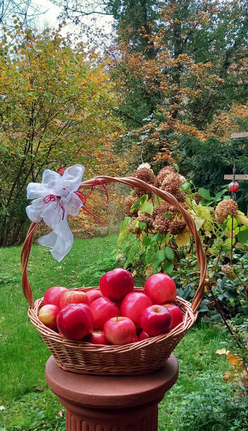  - 2024 - 03 - Toamna